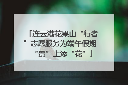 连云港花果山“行者”志愿服务为端午假期“景”上添“花”