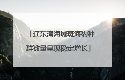 辽东湾海域斑海豹种群数量呈现稳定增长