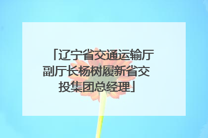 辽宁省交通运输厅副厅长杨树履新省交投集团总经理