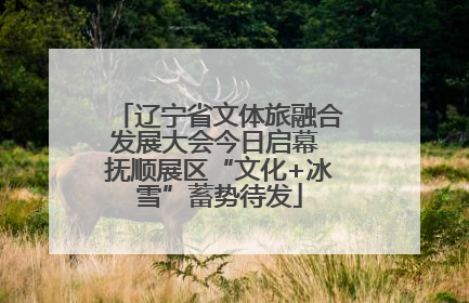 辽宁省文体旅融合发展大会今日启幕 抚顺展区“文化+冰雪”蓄势待发