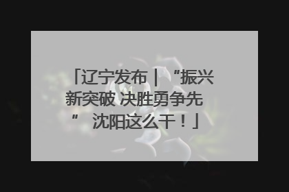 辽宁发布｜“振兴新突破 决胜勇争先” 沈阳这么干！