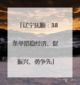 辽宁抚顺：38条举措稳经济、促振兴、勇争先