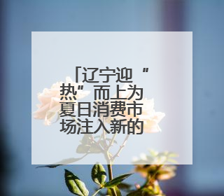 辽宁迎“热”而上为夏日消费市场注入新的增长动力