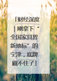 财经深度｜刚拿下“全国家具界新地标”的宁津，底牌藏不住了