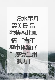 赏水墨丹霞美景 品独特西北风情 “青年城市体验官”感受兰州魅力