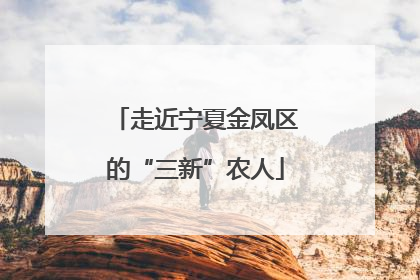 走近宁夏金凤区的“三新”农人