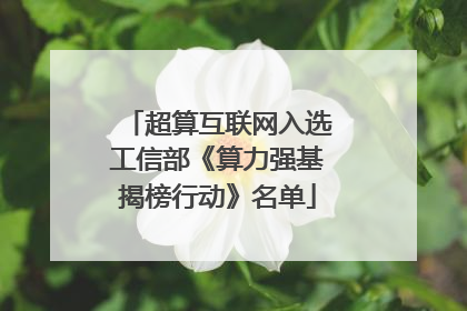 超算互联网入选工信部《算力强基揭榜行动》名单