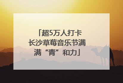 超5万人打卡 长沙草莓音乐节满满“青”和力