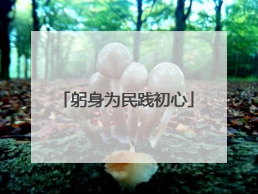躬身为民践初心