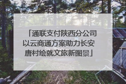 通联支付陕西分公司以云商通方案助力长安唐村绘就文旅新图景