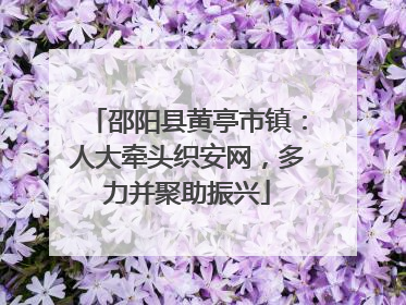 邵阳县黄亭市镇：人大牵头织安网，多力并聚助振兴