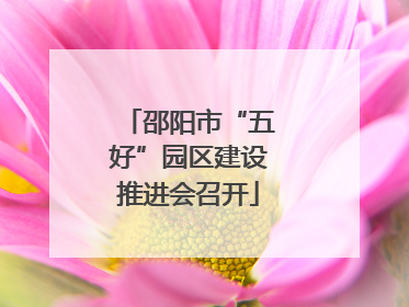 邵阳市“五好”园区建设推进会召开