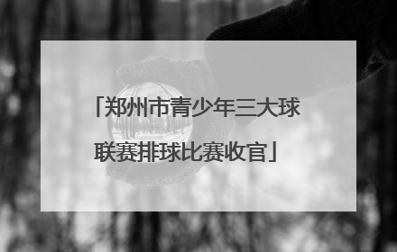 郑州市青少年三大球联赛排球比赛收官