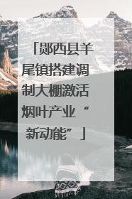 郧西县羊尾镇搭建调制大棚激活烟叶产业“新动能”
