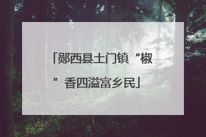 郧西县土门镇“椒”香四溢富乡民