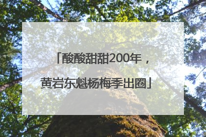 酸酸甜甜200年，黄岩东魁杨梅季出圈