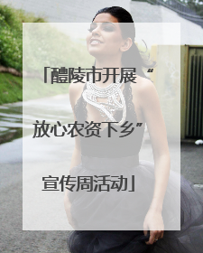 醴陵市开展“放心农资下乡”宣传周活动