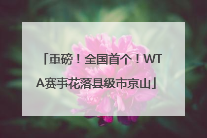 重磅！全国首个！WTA赛事花落县级市京山