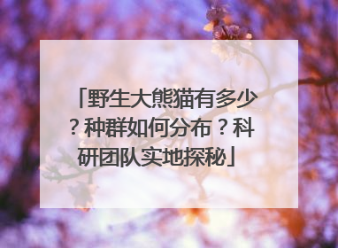 野生大熊猫有多少？种群如何分布？科研团队实地探秘