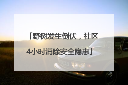 野树发生倒伏，社区4小时消除安全隐患