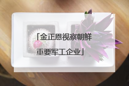 金正恩视察朝鲜重要军工企业