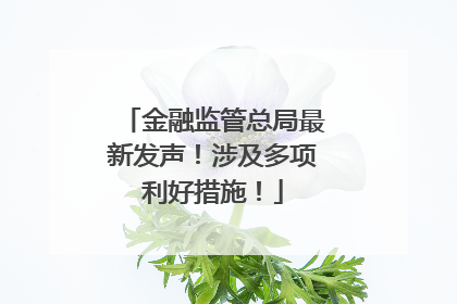 金融监管总局最新发声！涉及多项利好措施！