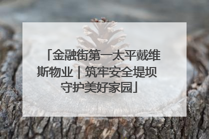 金融街第一太平戴维斯物业｜筑牢安全堤坝 守护美好家园