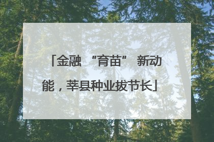 金融 “育苗” 新动能，莘县种业拔节长