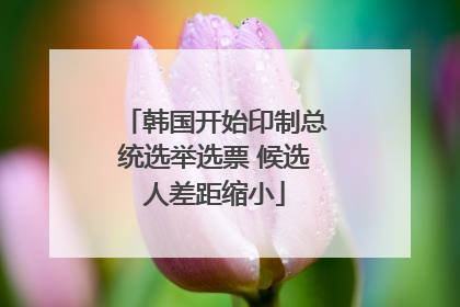 韩国开始印制总统选举选票 候选人差距缩小