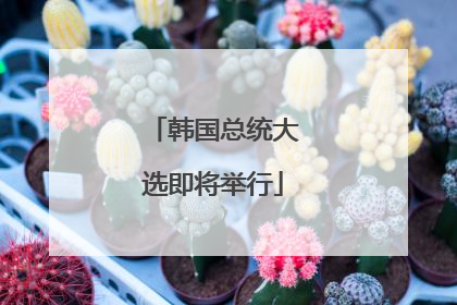 韩国总统大选即将举行