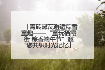 青砖黛瓦邂逅粽香童趣——“童玩栖霞街 粽香端午节”邀您共织时光记忆