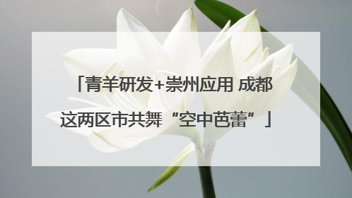 青羊研发+崇州应用 成都这两区市共舞“空中芭蕾”