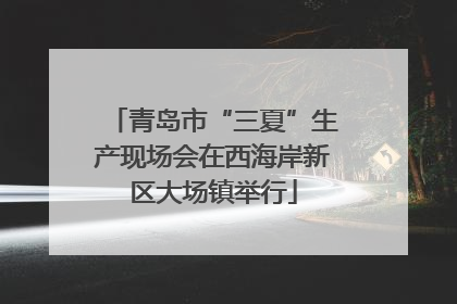 青岛市“三夏”生产现场会在西海岸新区大场镇举行