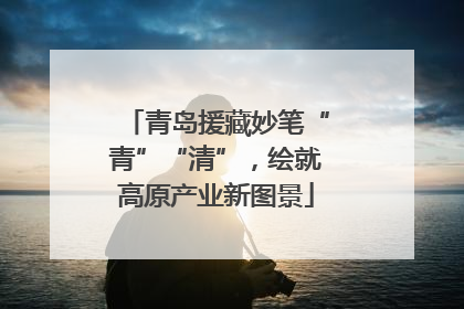 青岛援藏妙笔“青”“清”，绘就高原产业新图景