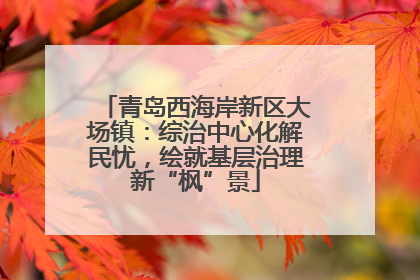 青岛西海岸新区大场镇：综治中心化解民忧，绘就基层治理新“枫”景