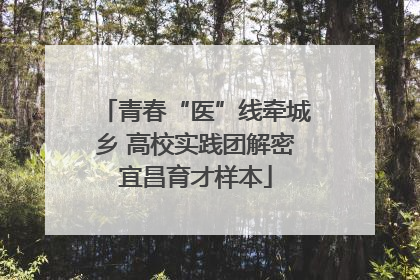 青春“医”线牵城乡 高校实践团解密宜昌育才样本