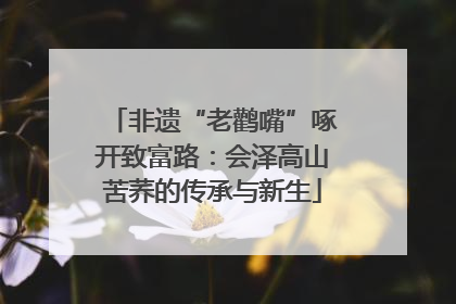 非遗“老鹳嘴”啄开致富路：会泽高山苦荞的传承与新生