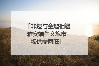 非遗与童趣相遇 雅安端午文旅市场供需两旺