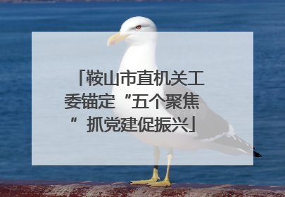 鞍山市直机关工委锚定“五个聚焦”抓党建促振兴