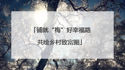 铺就“梅”好幸福路 共绘乡村致富图