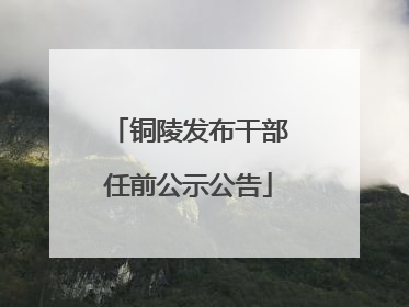 铜陵发布干部任前公示公告