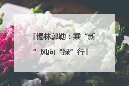 锡林郭勒：乘“新”风向“绿”行
