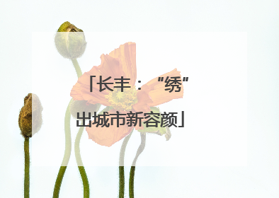 长丰：“绣”出城市新容颜