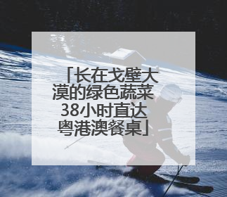 长在戈壁大漠的绿色蔬菜38小时直达粤港澳餐桌