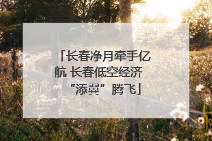 长春净月牵手亿航 长春低空经济“添翼”腾飞