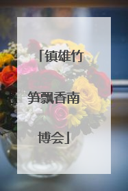 镇雄竹笋飘香南博会