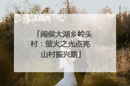 闽侯大湖乡岭头村：萤火之光点亮山村振兴路