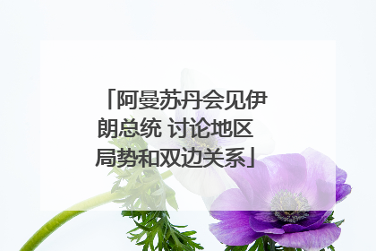阿曼苏丹会见伊朗总统 讨论地区局势和双边关系