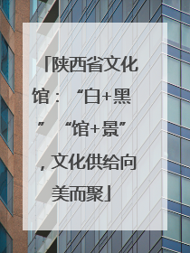 陕西省文化馆：“白+黑”“馆+景”，文化供给向美而聚