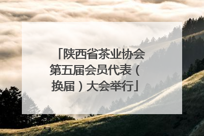 陕西省茶业协会第五届会员代表（换届）大会举行